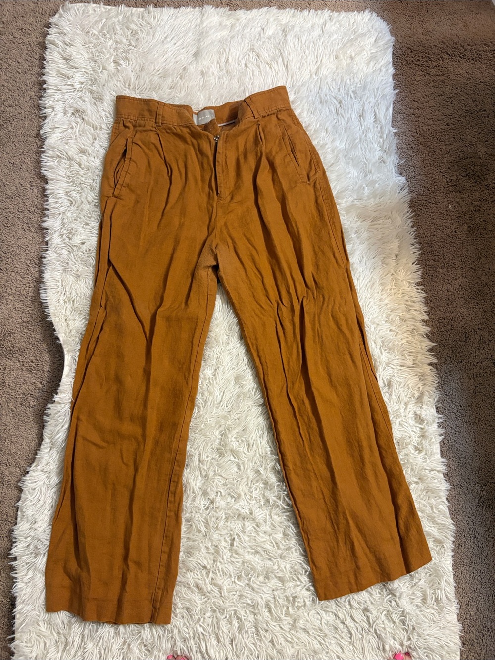 Everlane Women's Wide-Leg Pants in Rust